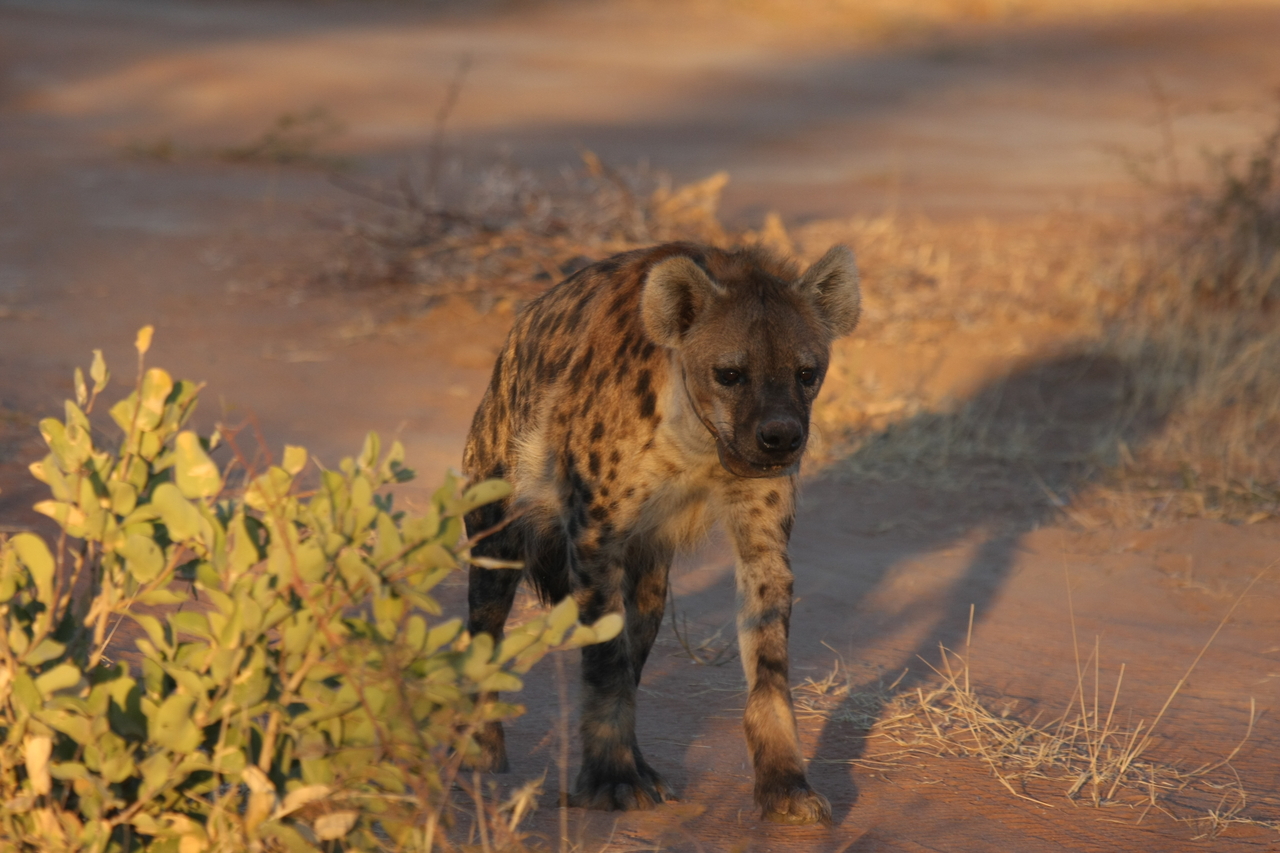 [3299] 2016_06_22_12_05_11_Africa_Canon_EOS_40D_IMG__00751.jpg