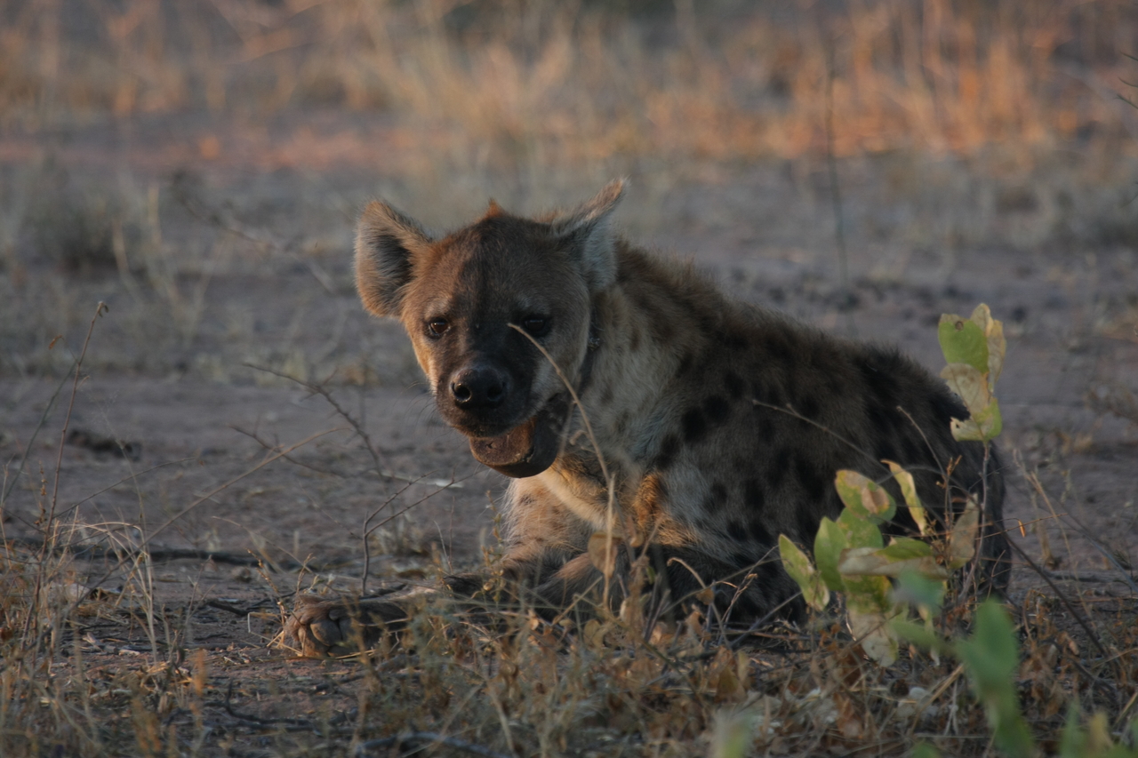 [3376] 2016_06_22_12_07_13_Africa_Canon_EOS_40D_IMG__08242.jpg