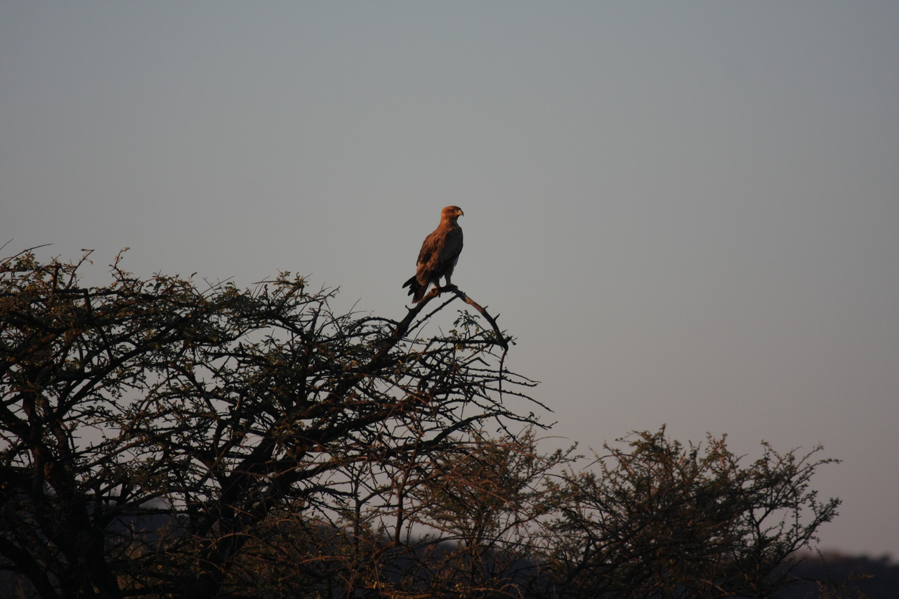 [3378] 2016_06_22_12_07_28_Africa_Canon_EOS_40D_IMG__00778.jpg
