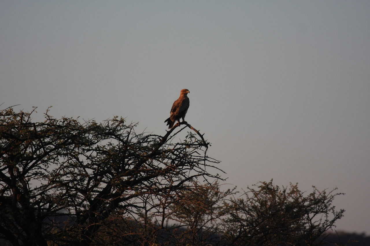 [3383] 2016_06_22_12_07_28_Africa_Canon_EOS_40D_IMG__08243.jpg