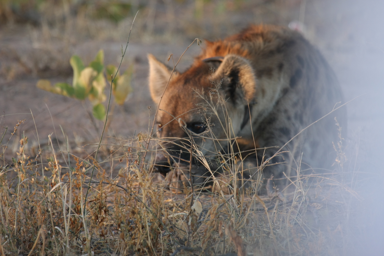 [3387] 2016_06_22_12_07_47_Africa_Canon_EOS_40D_IMG__00799.jpg