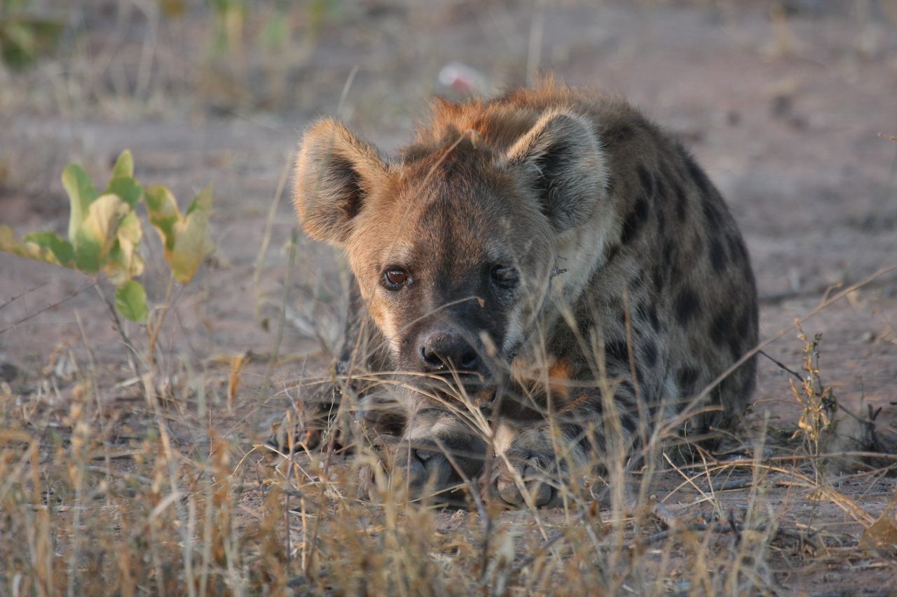 [3414] 2016_06_22_12_08_14_Africa_Canon_EOS_40D_IMG__08254.jpg