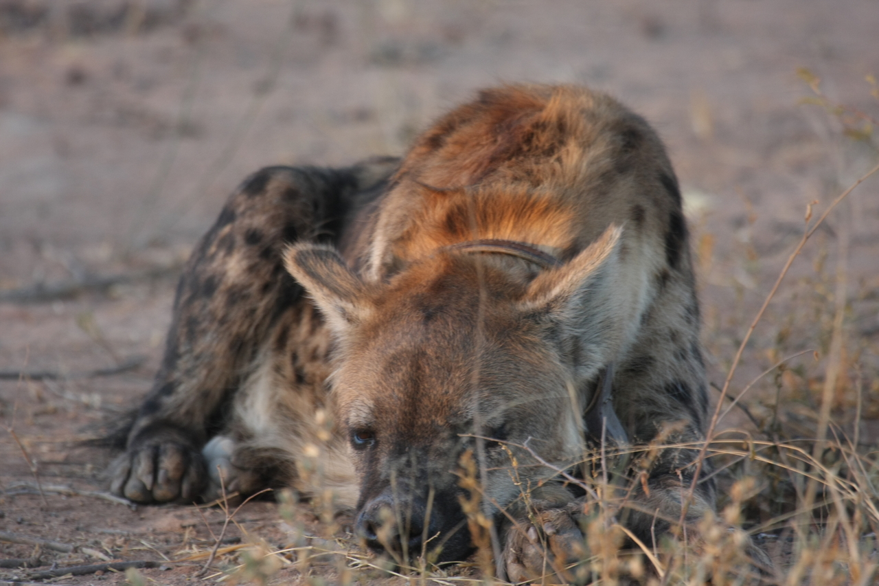 [3420] 2016_06_22_12_08_35_Africa_Canon_EOS_40D_IMG__00792.jpg