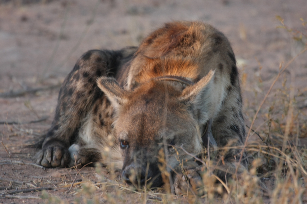 [3427] 2016_06_22_12_08_35_Africa_Canon_EOS_40D_IMG__08259.jpg