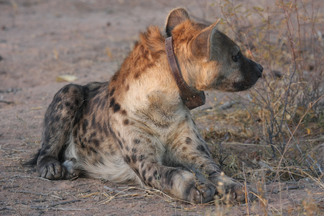 [3440] 2016_06_22_12_09_00_Africa_Canon_EOS_40D_IMG__00798.jpg