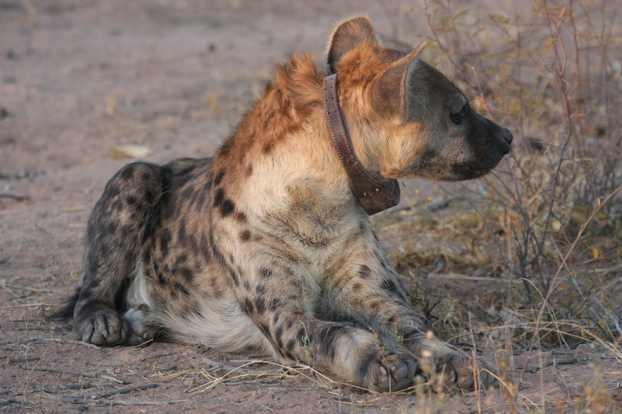 [3444] 2016_06_22_12_09_01_Africa_Canon_EOS_40D_IMG__00818.jpg