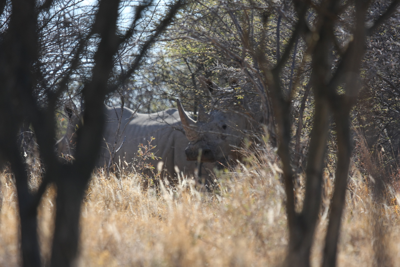 [4576] 2016_06_23_04_16_33_Africa_Canon_EOS_40D_IMG__00001.jpg