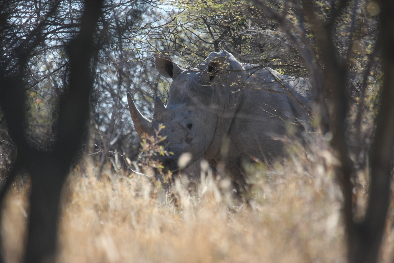[4651] 2016_06_23_04_17_45_Africa_Canon_EOS_40D_IMG__00857.jpg