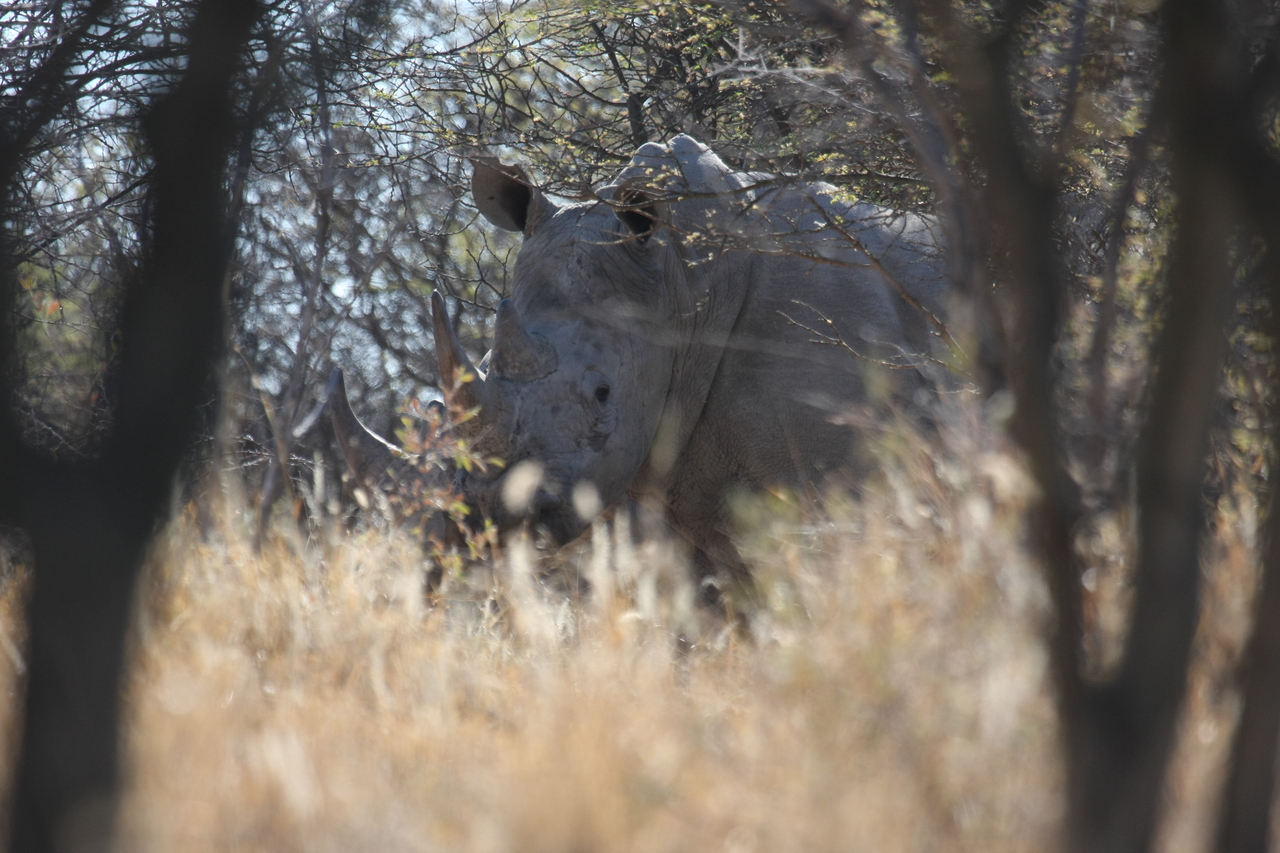 [4669] 2016_06_23_04_18_04_Africa_Canon_EOS_40D_IMG__00860.jpg