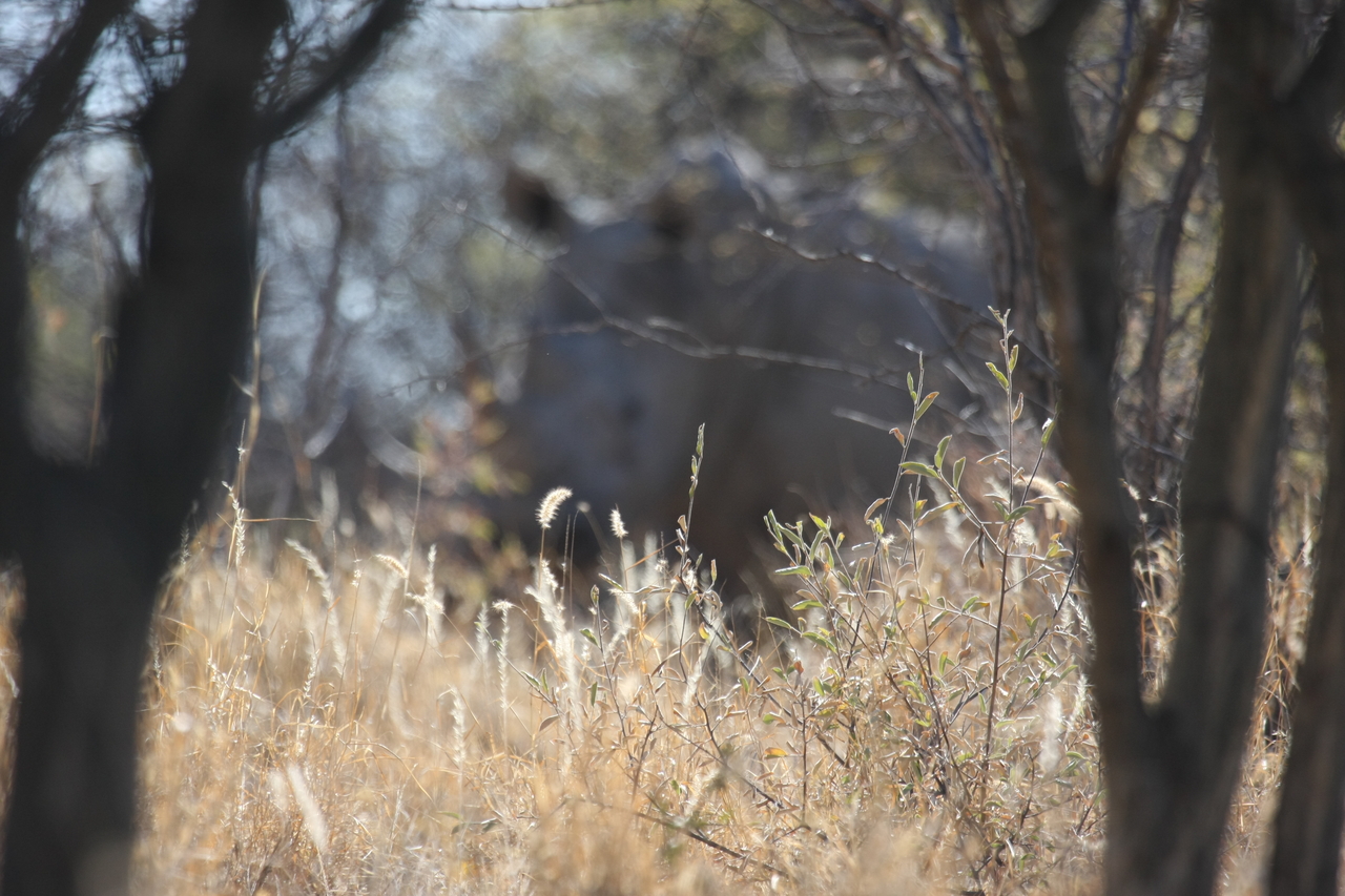 [4670] 2016_06_23_04_18_04_Africa_Canon_EOS_40D_IMG__00861.jpg