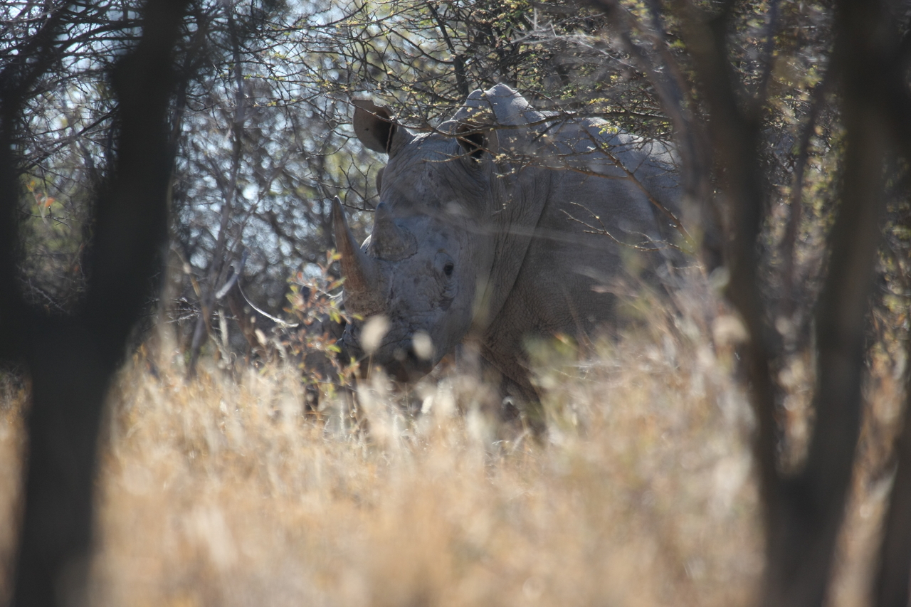 [4674] 2016_06_23_04_18_07_Africa_Canon_EOS_40D_IMG__00862.jpg