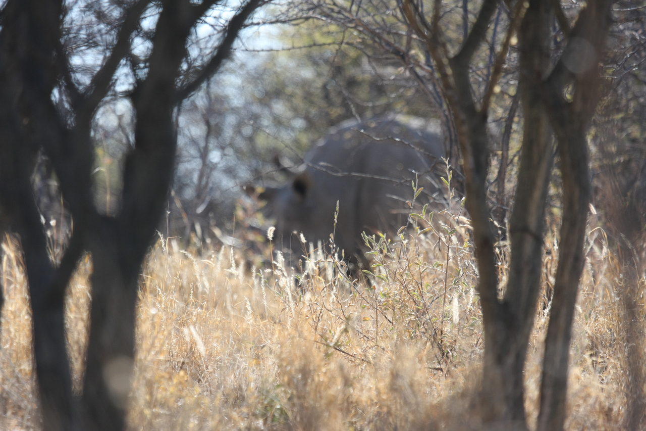 [4686] 2016_06_23_04_18_22_Africa_Canon_EOS_40D_IMG__00866.jpg