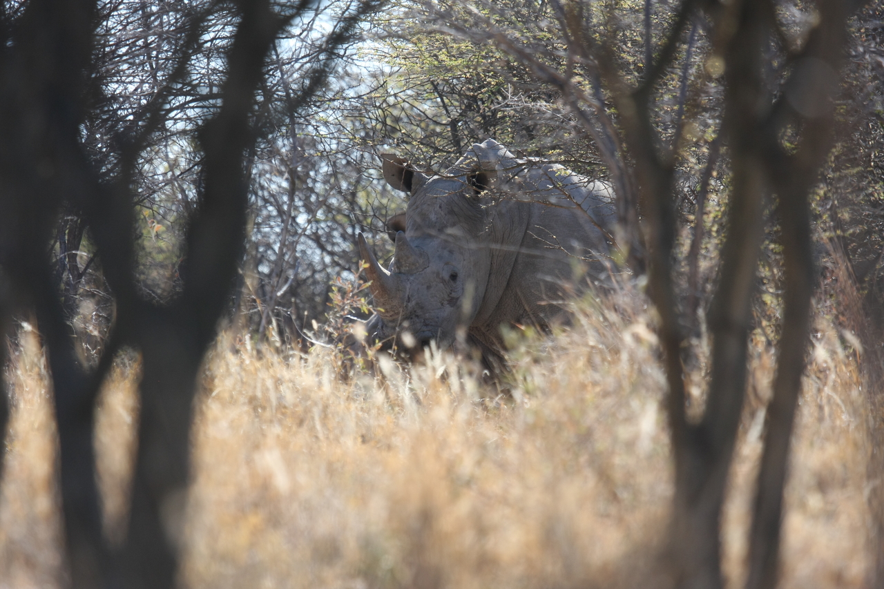 [4688] 2016_06_23_04_18_32_Africa_Canon_EOS_40D_IMG__00033.jpg