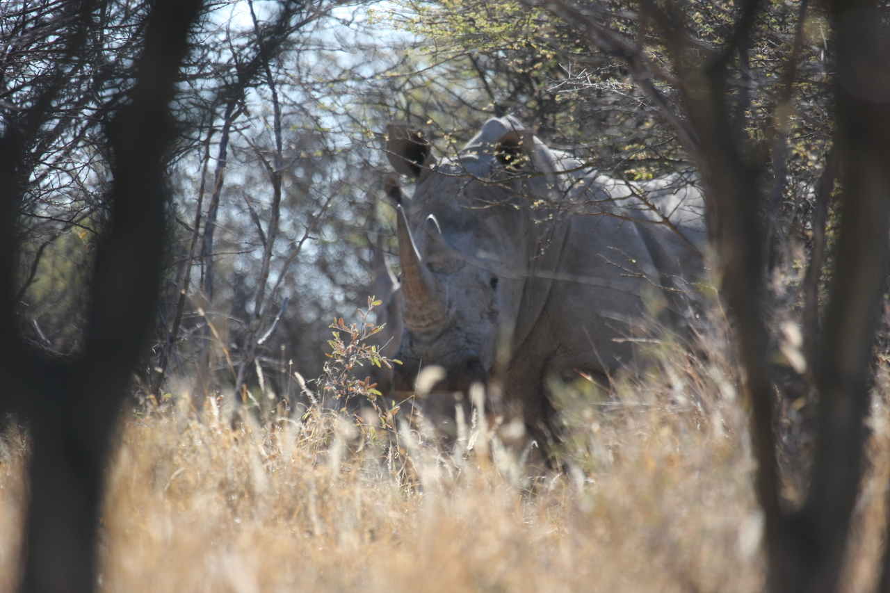 [4717] 2016_06_23_04_18_56_Africa_Canon_EOS_40D_IMG__08323.jpg