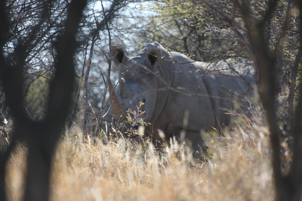 [4725] 2016_06_23_04_19_10_Africa_Canon_EOS_40D_IMG__00879.jpg