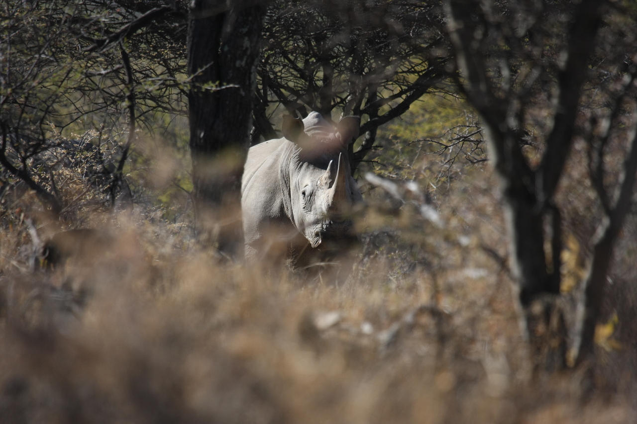 [4817] 2016_06_23_04_24_17_Africa_Canon_EOS_40D_IMG__00070.jpg