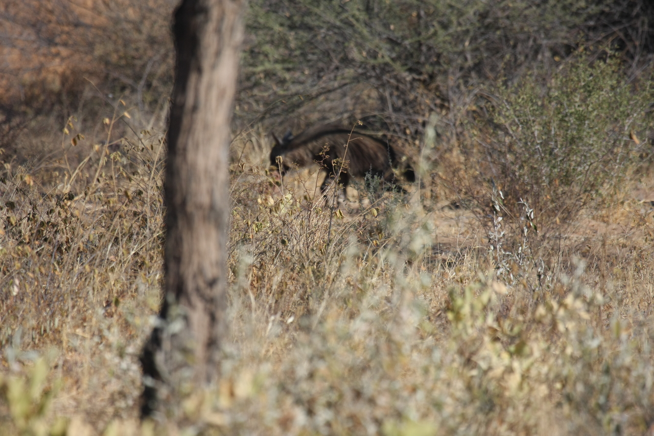 [5421] 2016_06_23_10_00_18_Africa_Canon_EOS_40D_IMG__00975.jpg