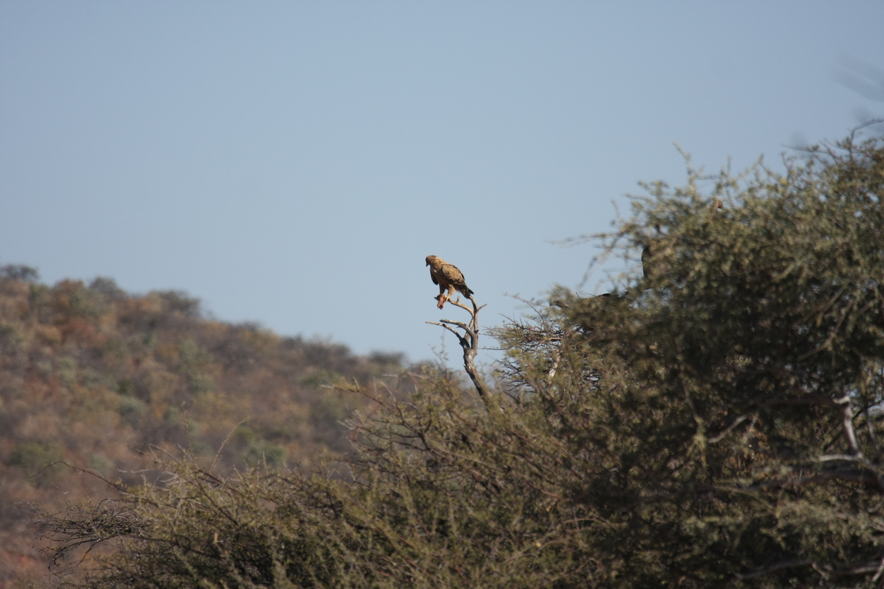 [5435] 2016_06_23_10_01_29_Africa_Canon_EOS_40D_IMG__00146.jpg
