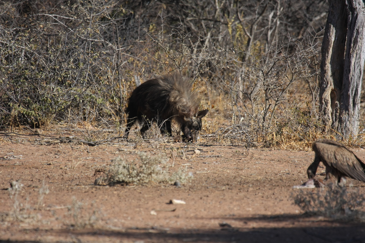 [5475] 2016_06_23_10_04_05_Africa_Canon_EOS_40D_IMG__00993.jpg