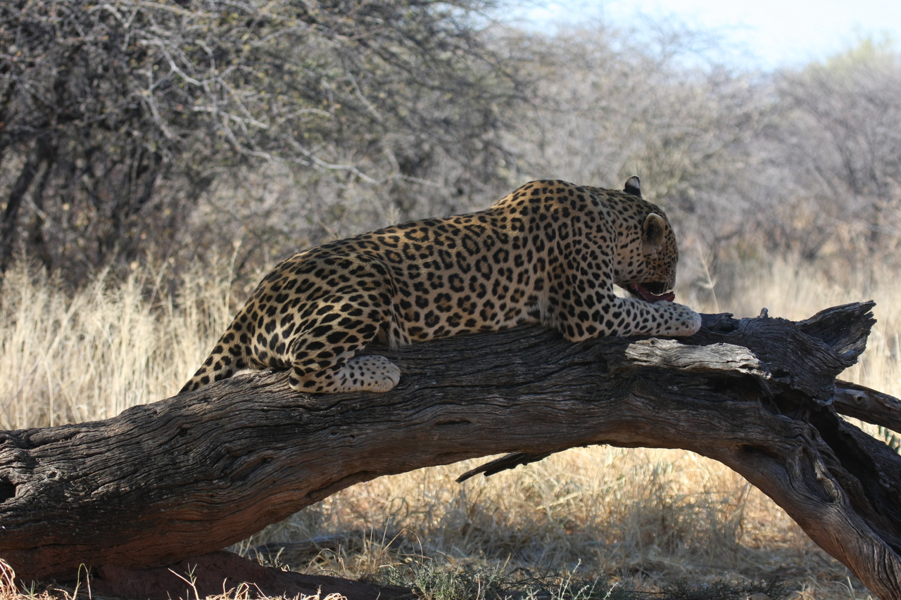 [5578] 2016_06_23_10_17_36_Africa_Canon_EOS_40D_IMG__01020.jpg