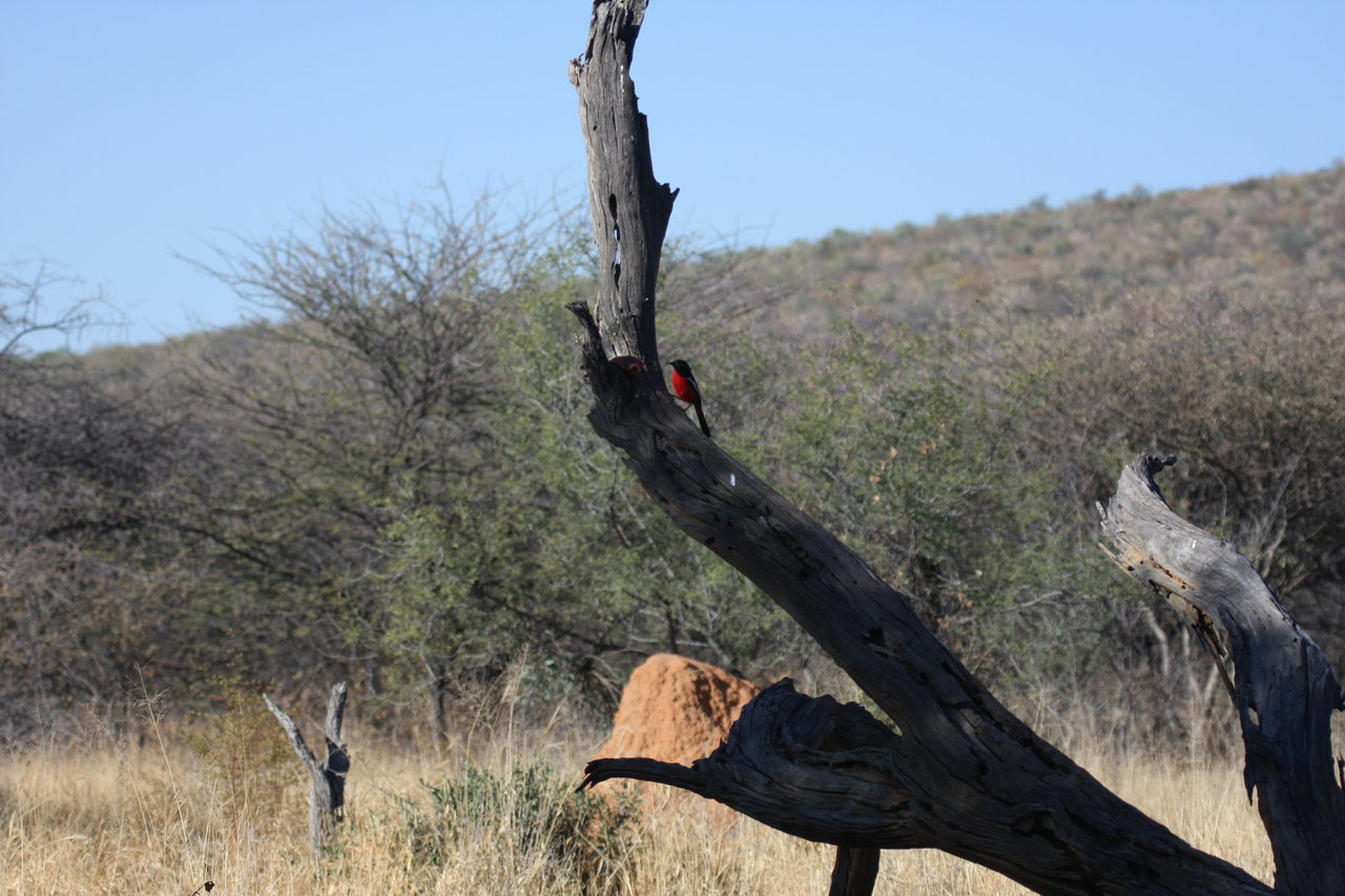 [5587] 2016_06_23_10_17_57_Africa_Canon_EOS_40D_IMG__01023.jpg