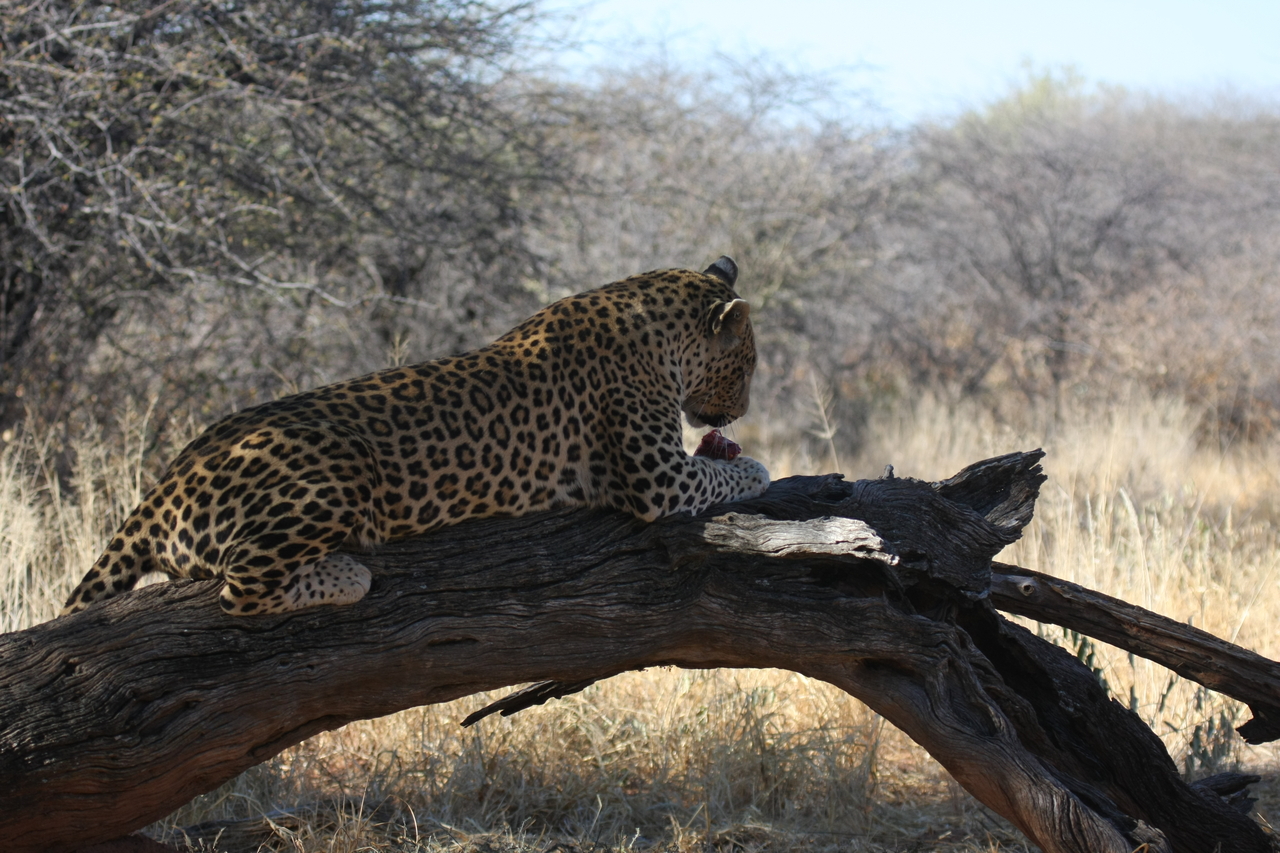 [5620] 2016_06_23_10_20_19_Africa_Canon_EOS_40D_IMG__08480.jpg