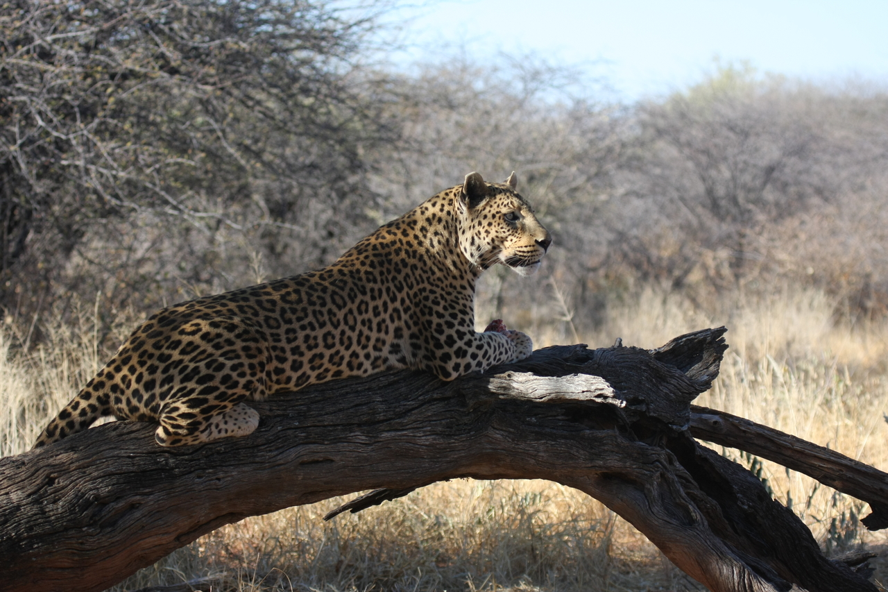 [5622] 2016_06_23_10_23_29_Africa_Canon_EOS_40D_IMG__01034.jpg