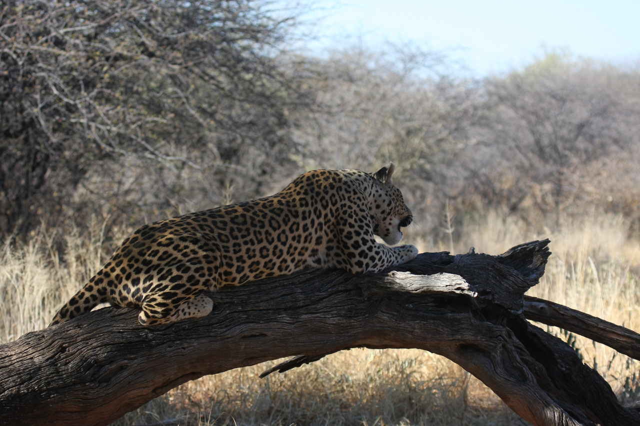 [5643] 2016_06_23_10_24_20_Africa_Canon_EOS_40D_IMG__08483.jpg