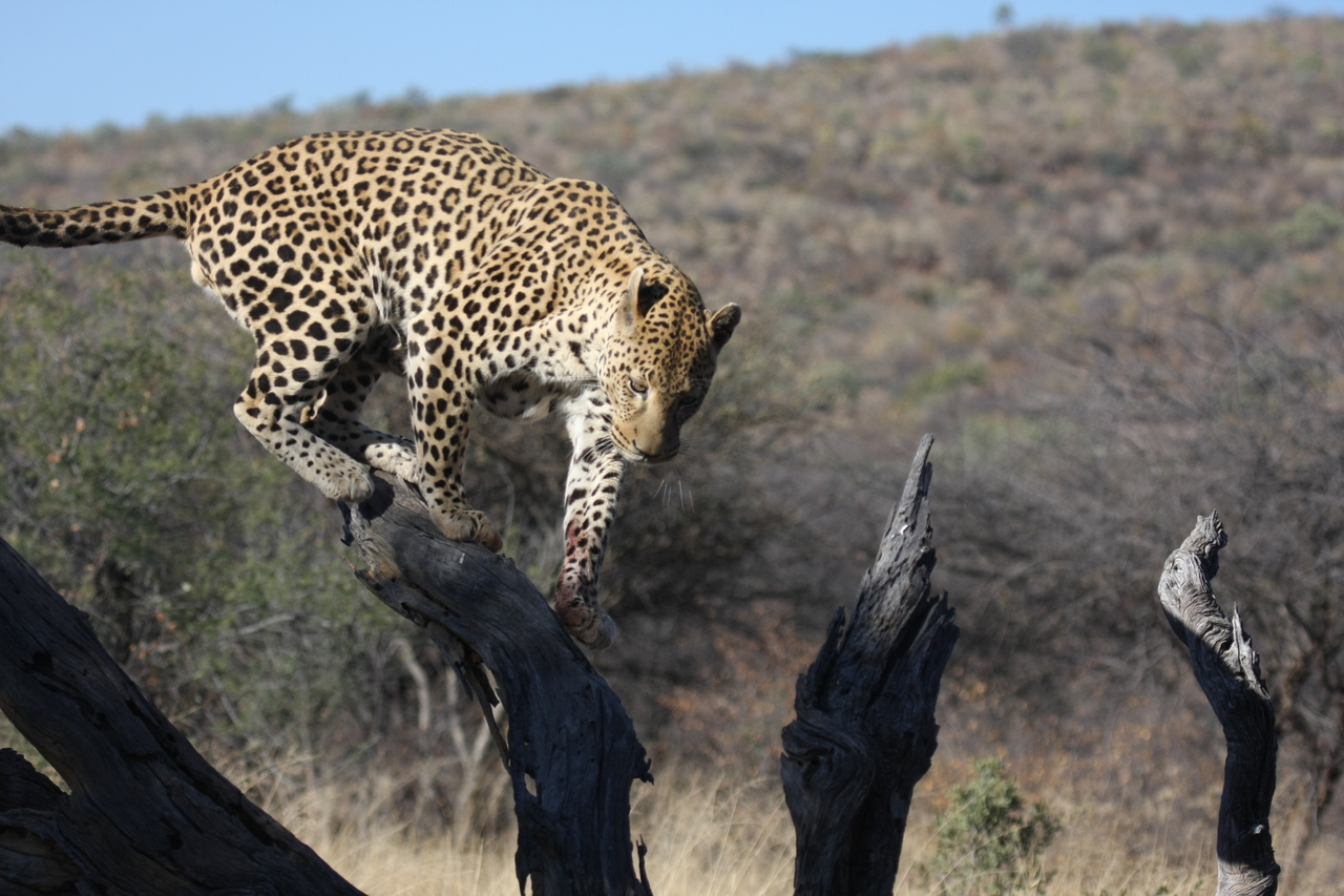 [5717] 2016_06_23_10_25_43_Africa_Canon_EOS_40D_IMG__01061.jpg