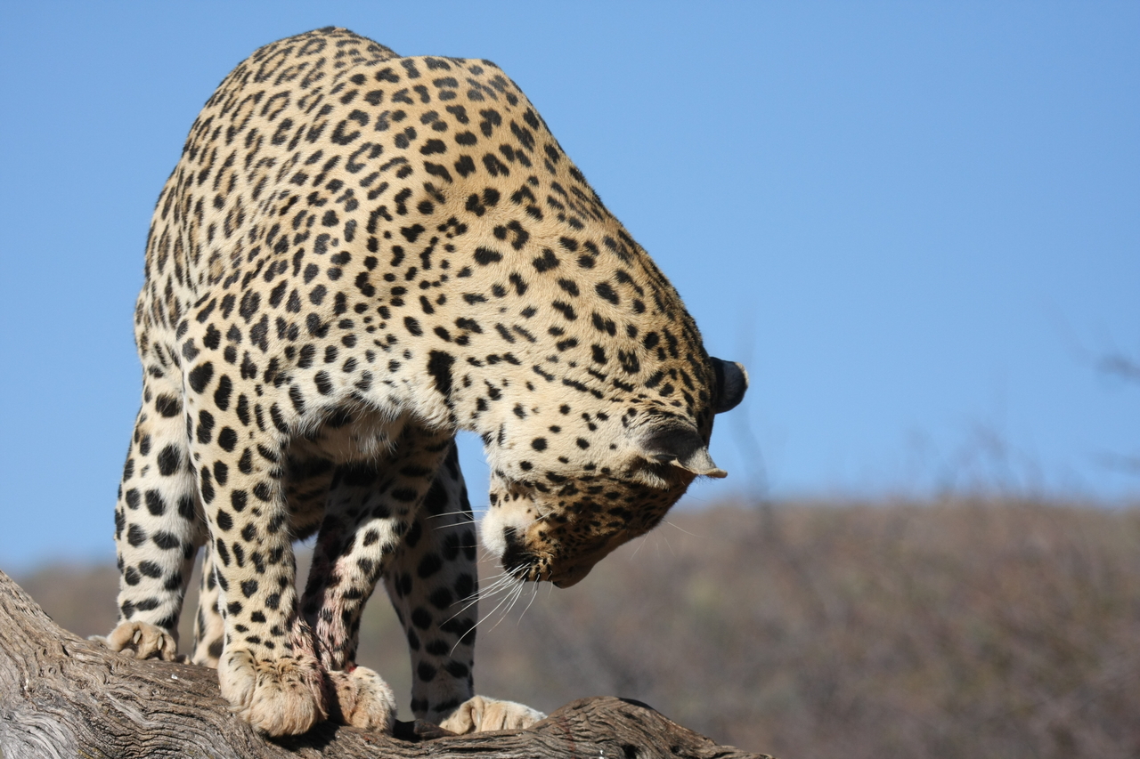 [5807] 2016_06_23_10_26_29_Africa_Canon_EOS_40D_IMG__00258.jpg