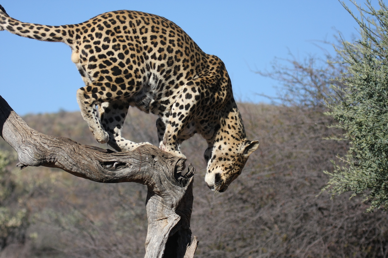 [5814] 2016_06_23_10_26_35_Africa_Canon_EOS_40D_IMG__01094.jpg