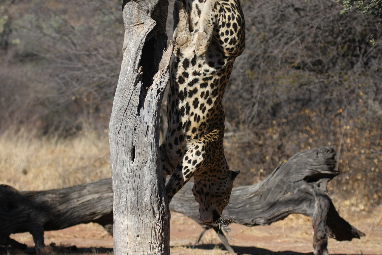 [5818] 2016_06_23_10_26_37_Africa_Canon_EOS_40D_IMG__08542.jpg