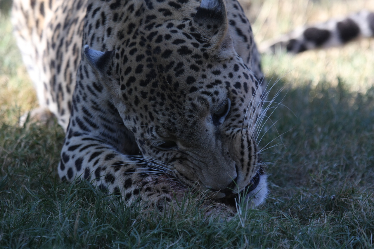 [5873] 2016_06_23_10_27_27_Africa_Canon_EOS_40D_IMG__00276.jpg