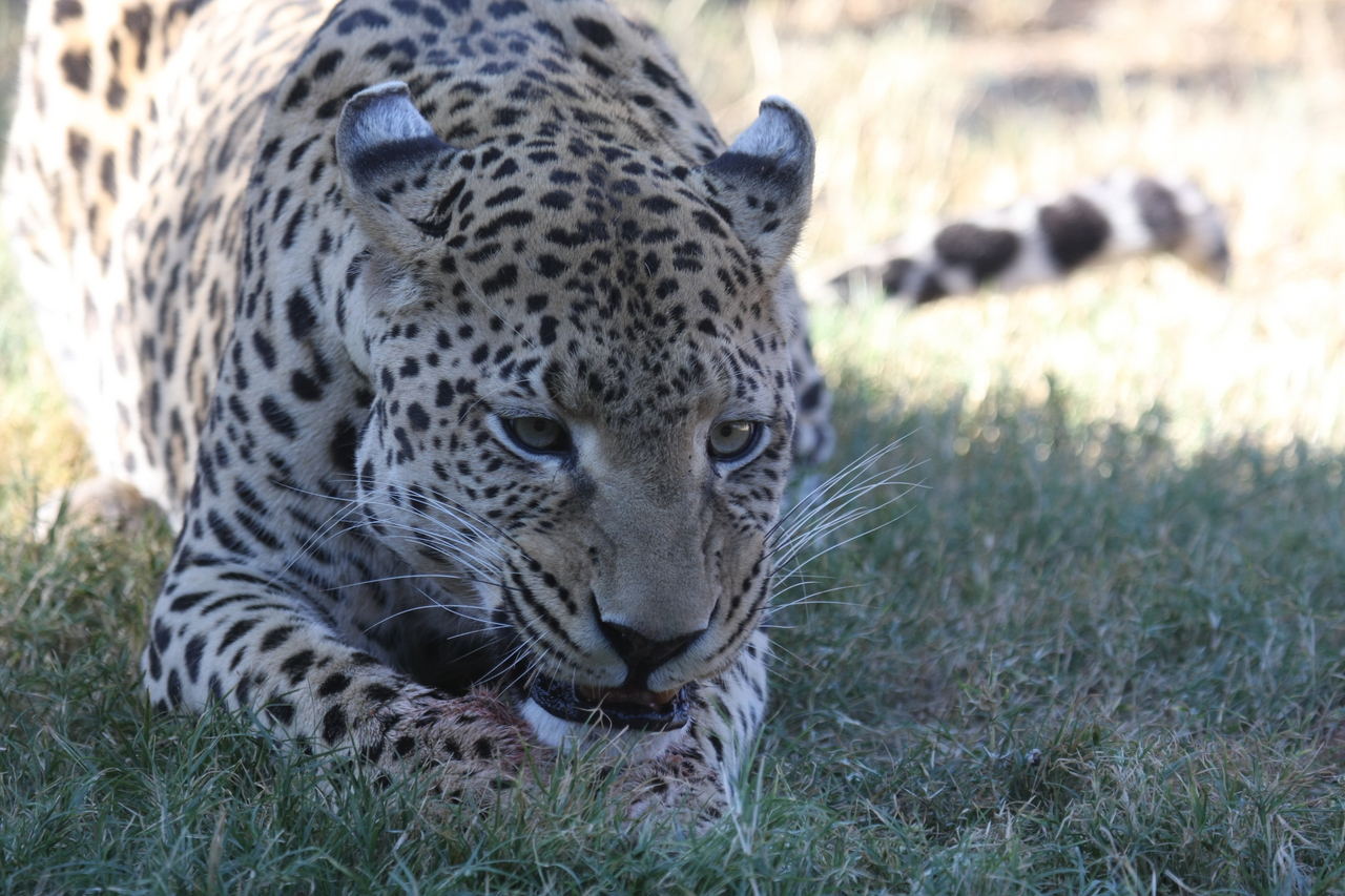 [5888] 2016_06_23_10_27_32_Africa_Canon_EOS_40D_IMG__08560.jpg