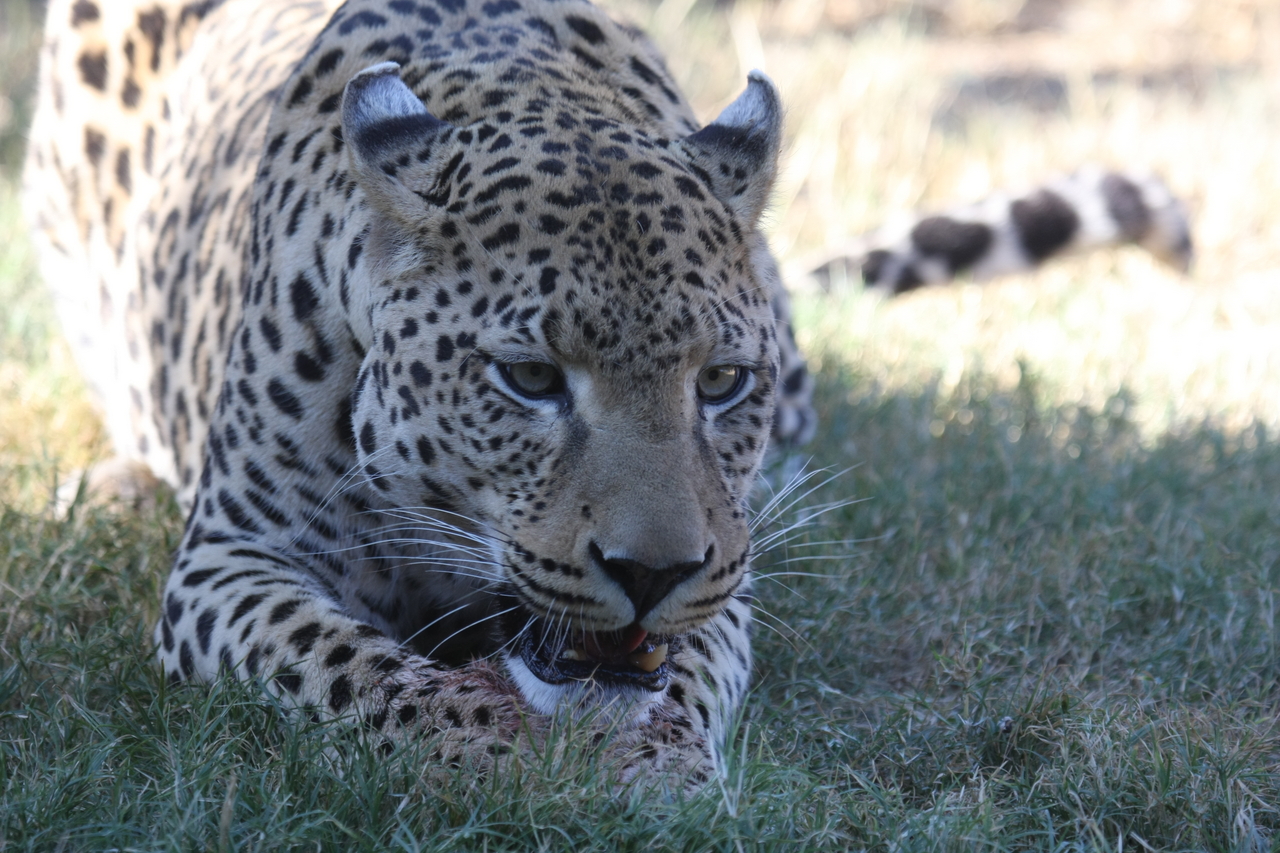 [5889] 2016_06_23_10_27_32_Africa_Canon_EOS_40D_IMG__08561.jpg