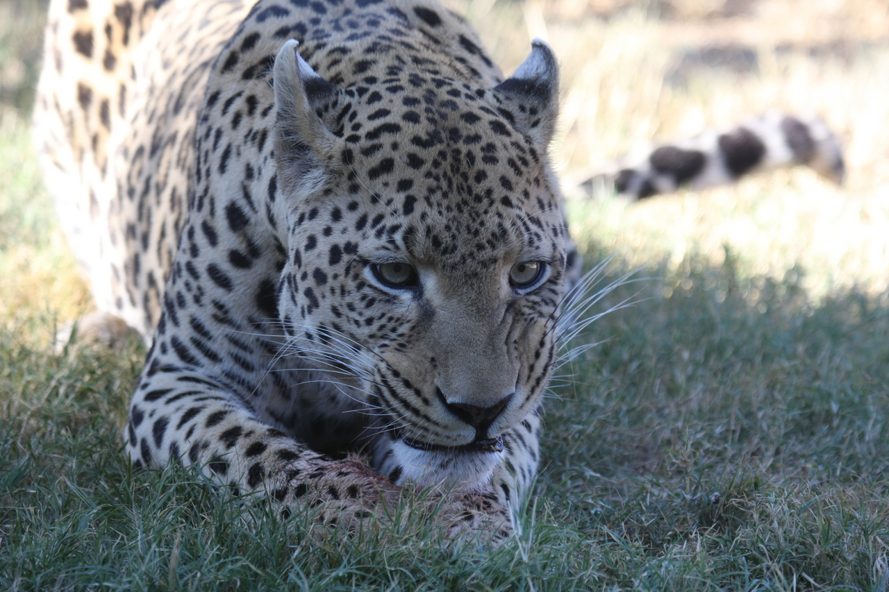 [5893] 2016_06_23_10_27_33_Africa_Canon_EOS_40D_IMG__01116.jpg