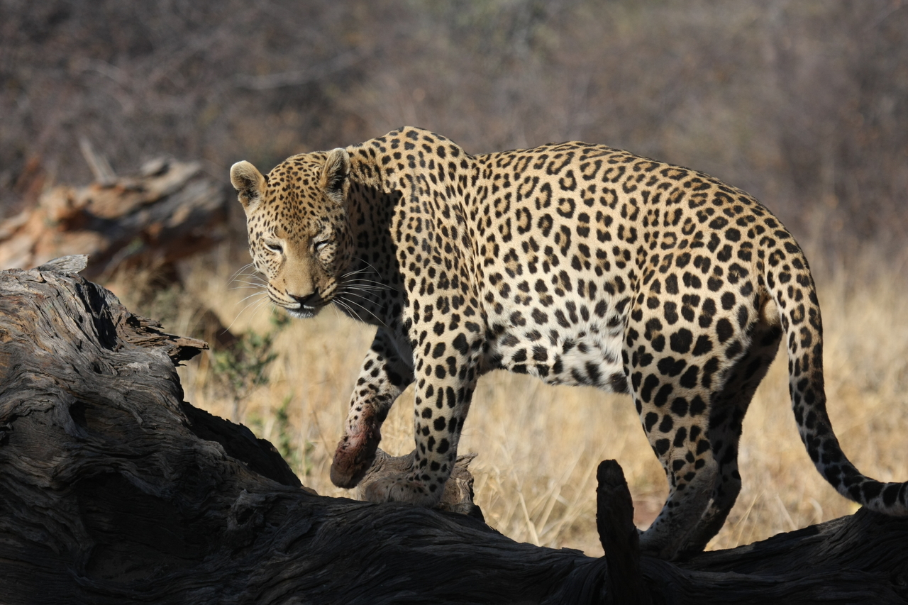 [5963] 2016_06_23_10_28_58_Africa_Canon_EOS_40D_IMG__00306.jpg