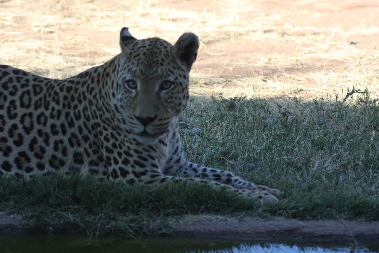 [6020] 2016_06_23_10_30_08_Africa_Canon_EOS_40D_IMG__08596.jpg