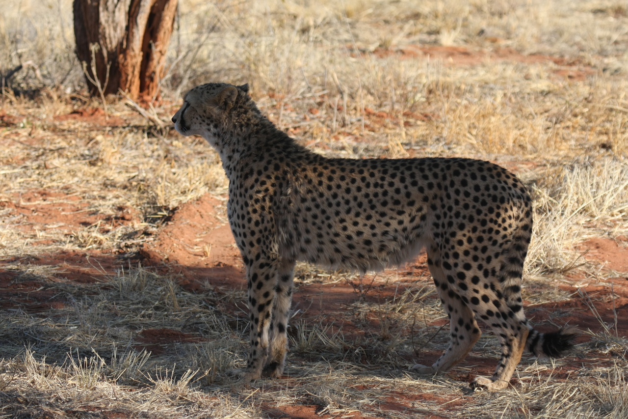 [6257] 2016_06_23_10_44_20_Africa_Canon_EOS_40D_IMG__01176.jpg