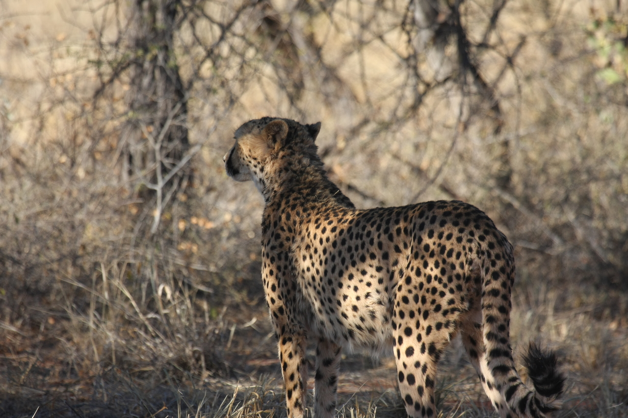 [6455] 2016_06_23_10_50_31_Africa_Canon_EOS_40D_IMG__00400.jpg