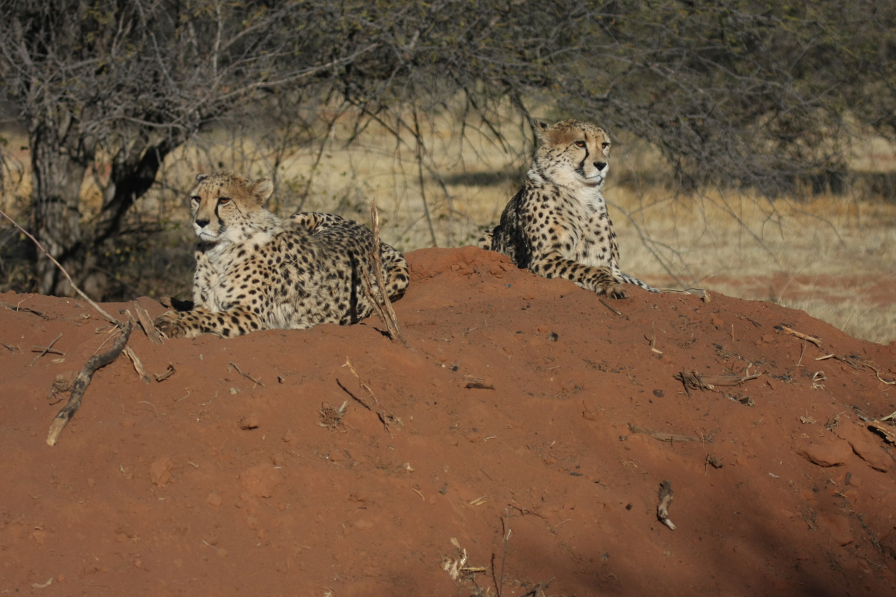 [6492] 2016_06_23_10_53_27_Africa_Canon_EOS_40D_IMG__01246.jpg