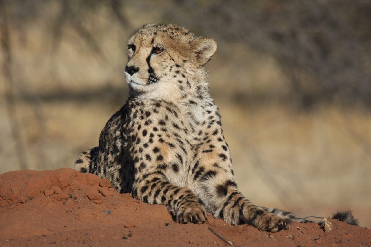 [6676] 2016_06_23_10_56_57_Africa_Canon_EOS_40D_IMG__01297.jpg