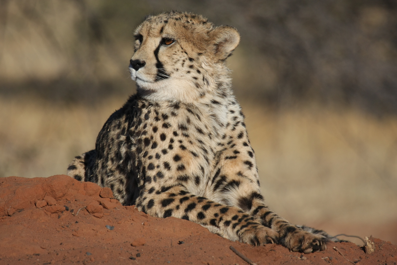 [6709] 2016_06_23_10_58_14_Africa_Canon_EOS_40D_IMG__01307.jpg