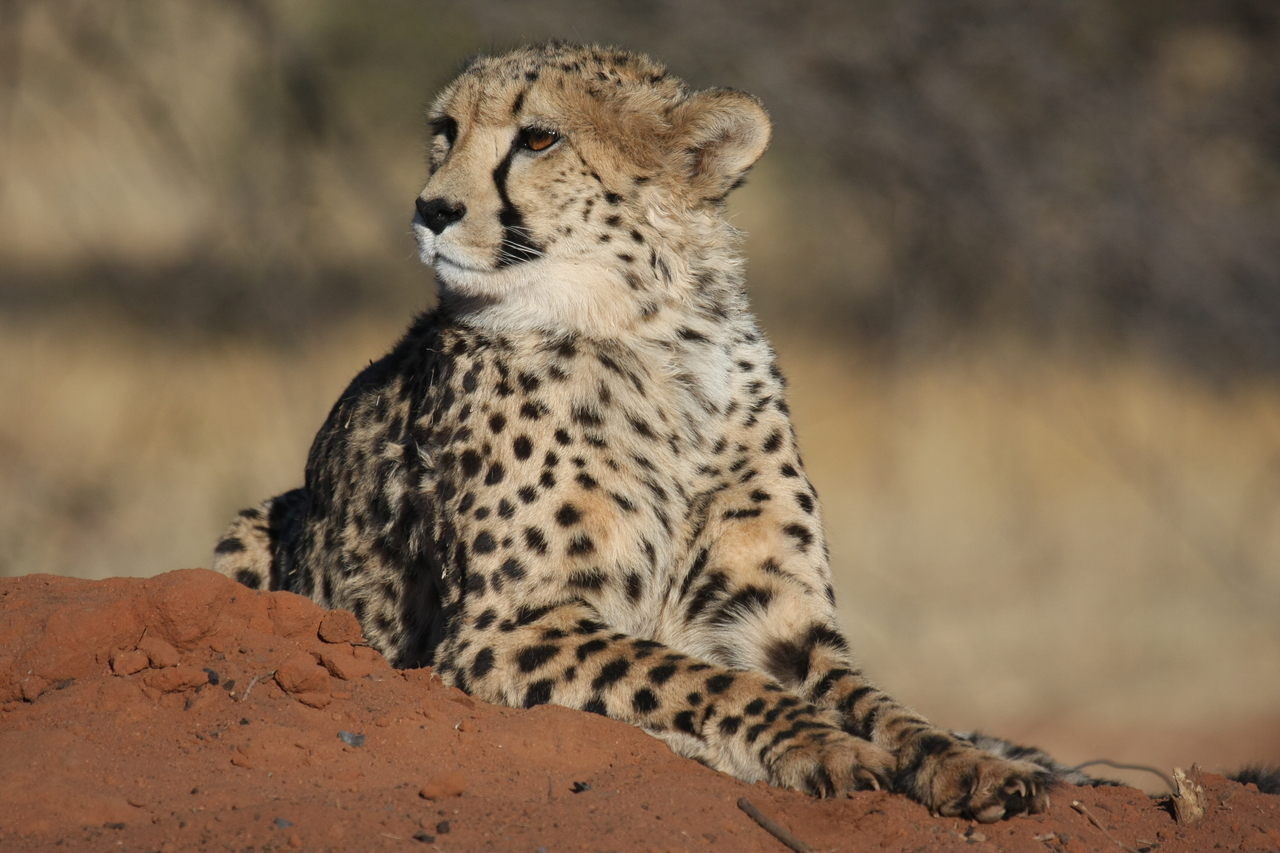 [6711] 2016_06_23_10_58_14_Africa_Canon_EOS_40D_IMG__01309.jpg