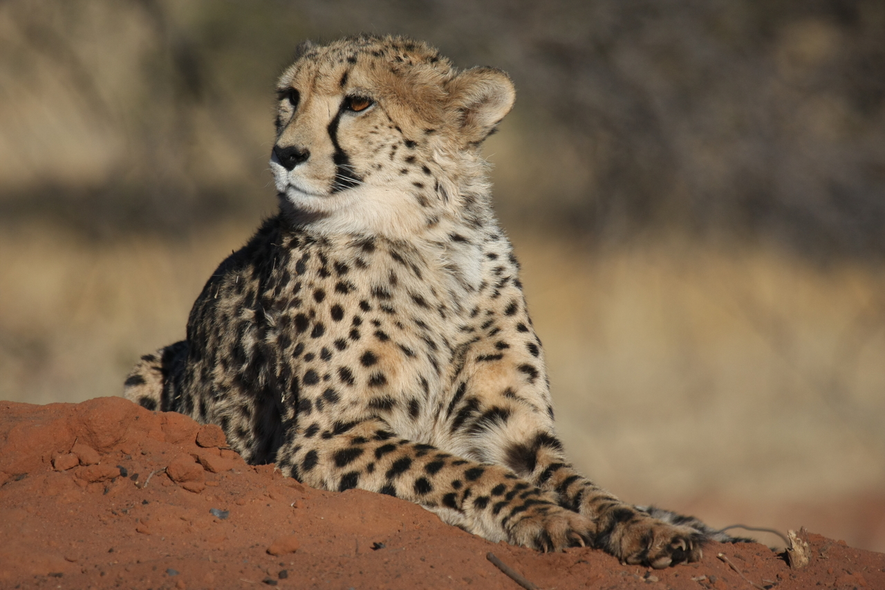 [6723] 2016_06_23_10_58_29_Africa_Canon_EOS_40D_IMG__01311.jpg