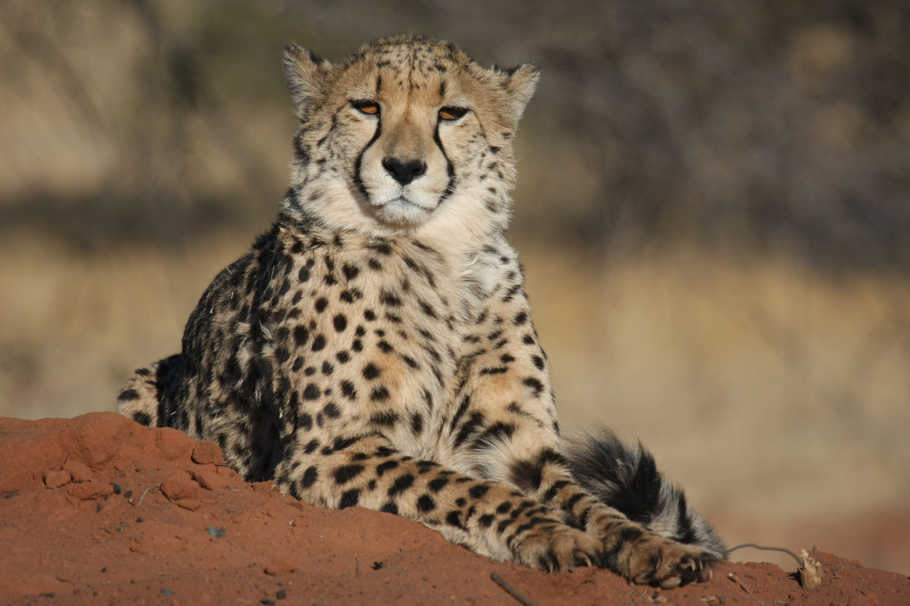 [6730] 2016_06_23_10_58_31_Africa_Canon_EOS_40D_IMG__08760.jpg