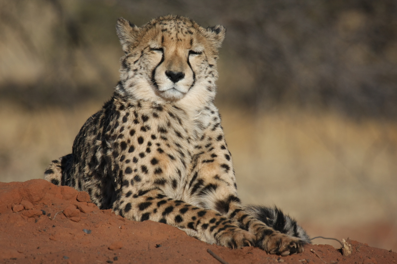 [6732] 2016_06_23_10_58_32_Africa_Canon_EOS_40D_IMG__01314.jpg