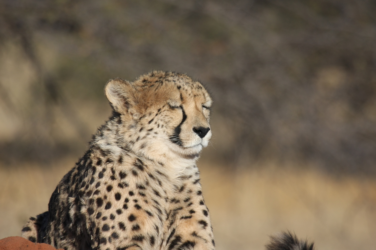 [6750] 2016_06_23_10_58_43_Africa_Canon_EOS_40D_IMG__00487.jpg