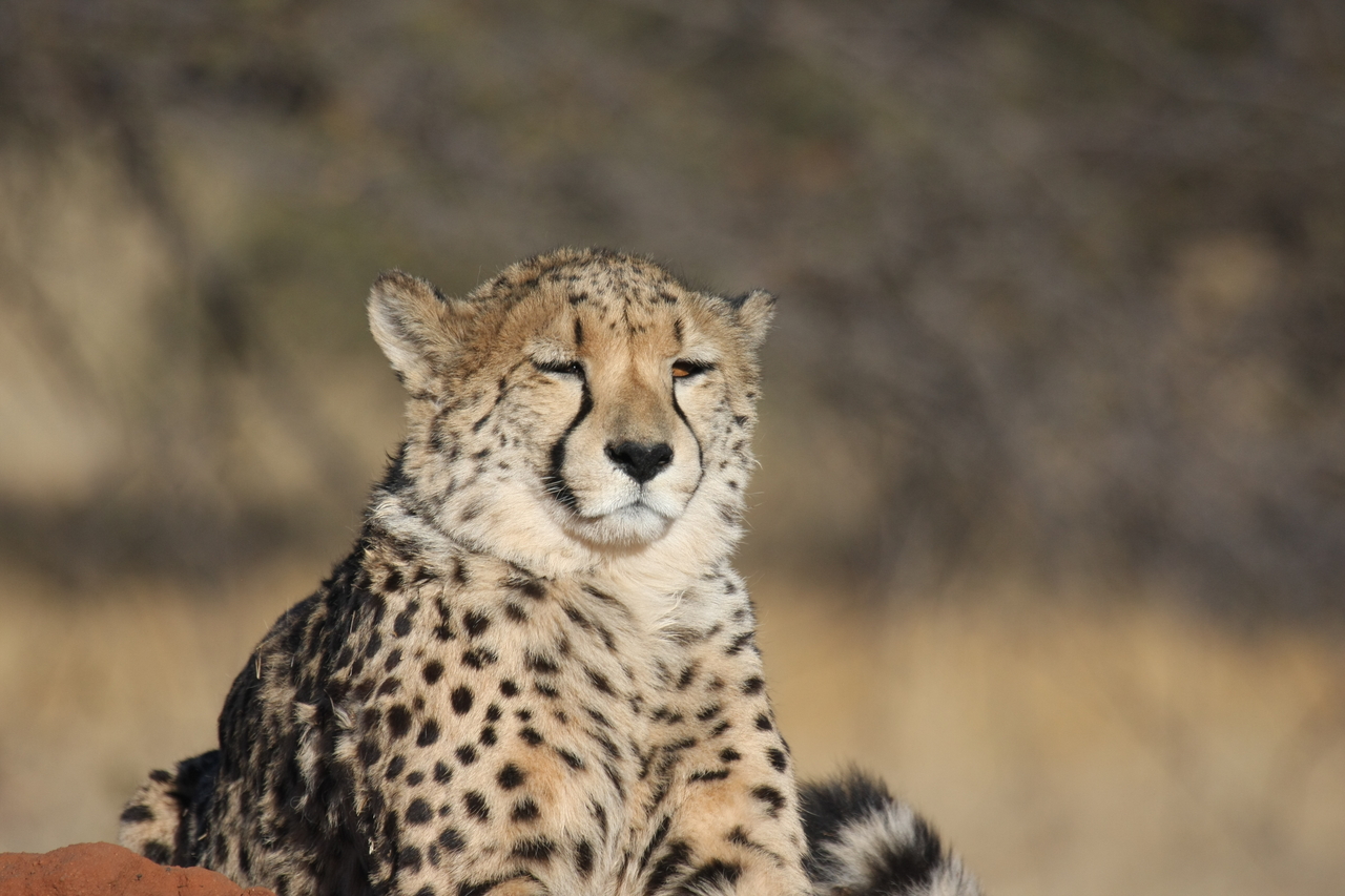 [6751] 2016_06_23_10_58_43_Africa_Canon_EOS_40D_IMG__00488.jpg