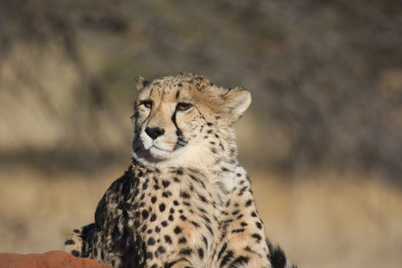 [6761] 2016_06_23_10_58_44_Africa_Canon_EOS_40D_IMG__01324.jpg